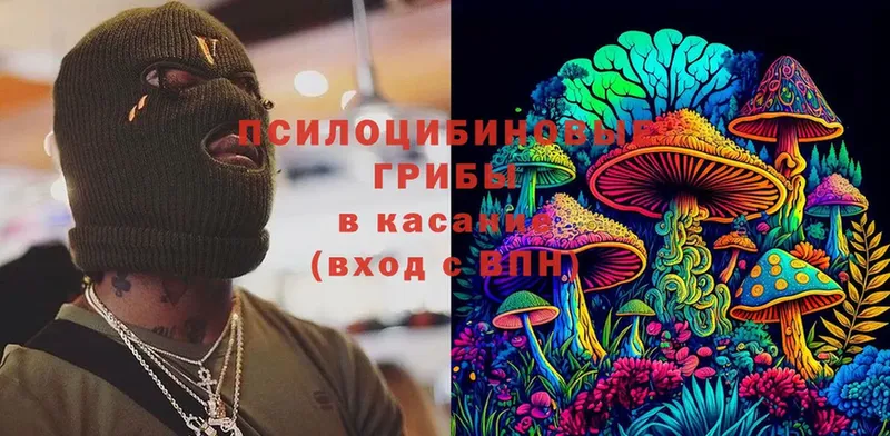 купить наркоту  shop как зайти  Псилоцибиновые грибы Psilocybine cubensis  Николаевск-на-Амуре 